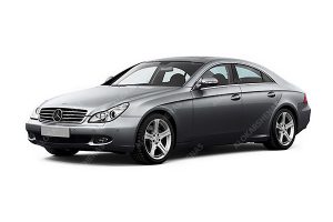 الوکارشناس شرکت کارشناس خودرو بنز CLS 500 ، کارشناس بنز CLS 500 ، کارشناسی بنز CLS 500 در محل ، تشخيص رنگ بنز CLS 500