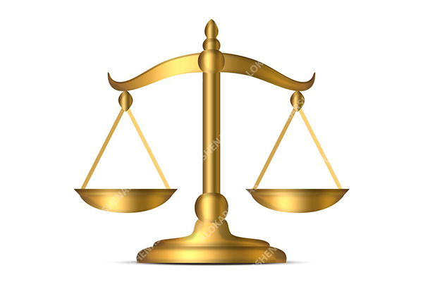 قوانین و مقررات الوکارشناس ، تعهد الوکارشناس